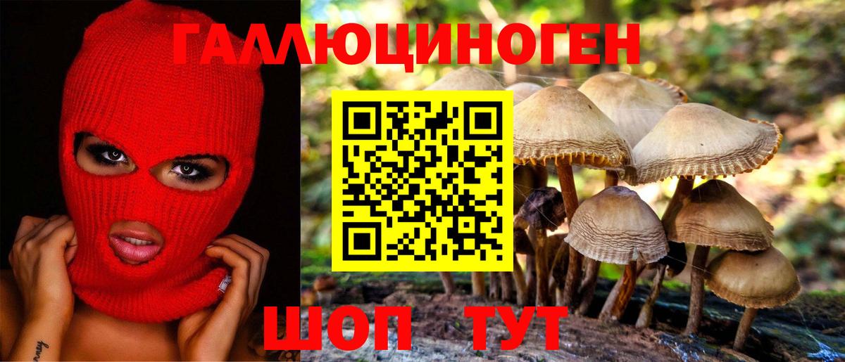 Кузнецк  Галлюциногенные грибы мухоморы  Вход с VPN 