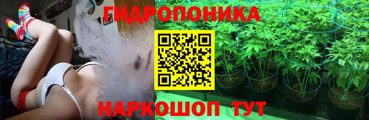 Конопля ГИДРОПОН Кузнецк
